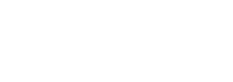 Xepelin Logo